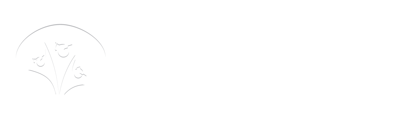 Tech Ascent BD